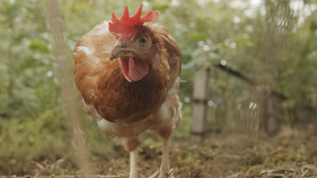 This image has an empty alt attribute; its file name is 134086012_245486376952488_3329684077277632036_o.jpg